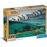 Clementoni Puzzle National Geographic - Gentoo Penguins