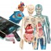 Clementoni Science and Play Super Anatomy - Супер анатомија 8г+